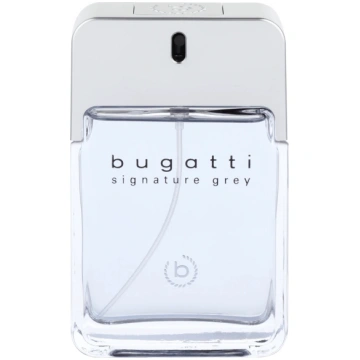Tualetes ūdens Bugatti Signature Grey, 100 ml