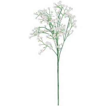 Plīvurpuķe 60cm balta