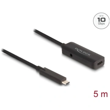 Delock Active USB 10 Gbps extension cable USB Type