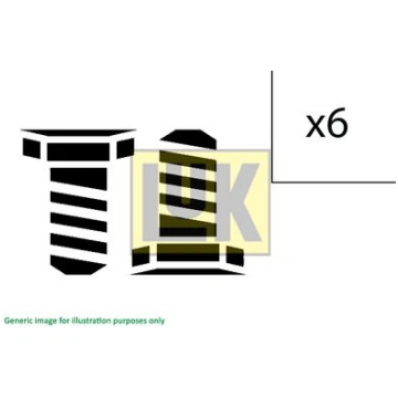 Schaeffler LuK 411023910 Skrūvju komplekts, Sparar