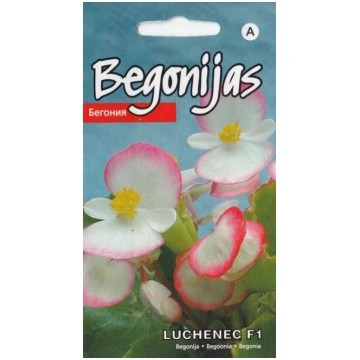 Begonijas luchenec f1 Kurzemes sēklas