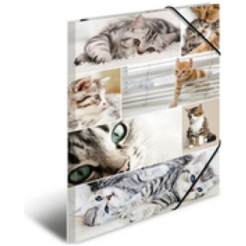 HERMA Sammelmappe A3 Katzen Pappe ( 19219 ) portat