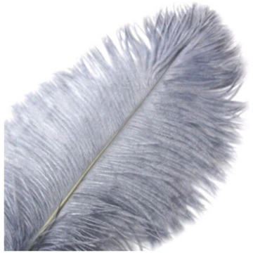 Strausa spalva 26-28 cm