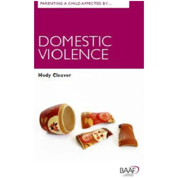 Parenting A Child Affected by Domestic Violence He