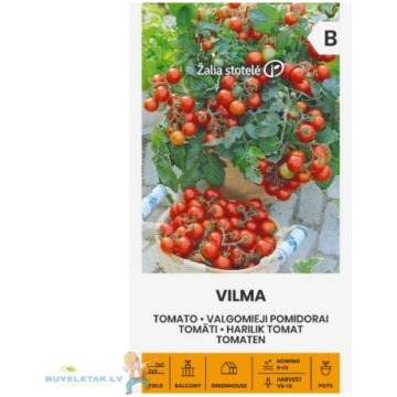 Sēklas tomāti Vilma 0.2g 34621