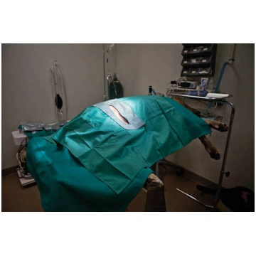 Ķirurģisks pārklājs dzīvniekiem KVP Surgical Drape