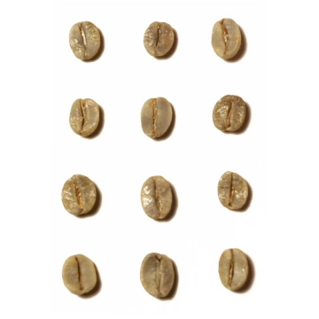 Brazil / DECAF Santos Swees Water green coffee, 50