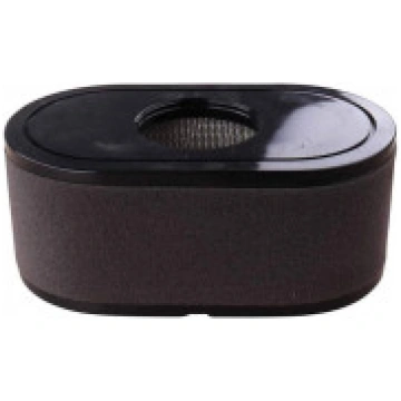 Gaisa filtrs Stiga dzinējam (TRE586VA, TRE635V) 22
