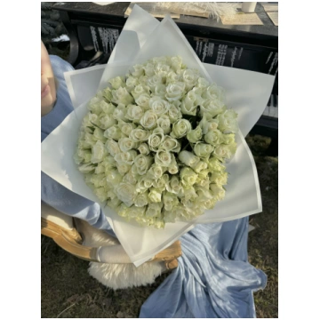 101 gb athena 40 cm
