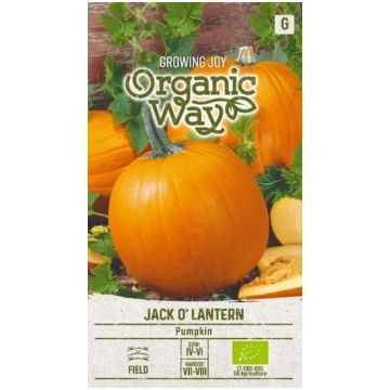 ĶIRBJI JACK O" LANTERN Organic Way