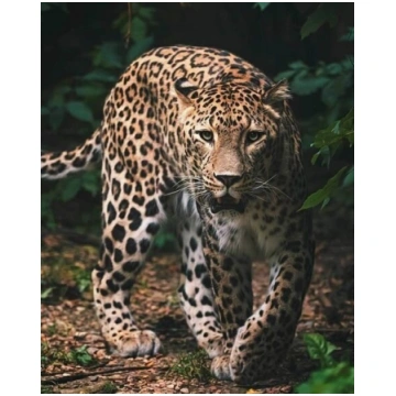Pleds Leopard 120 x 150 cm