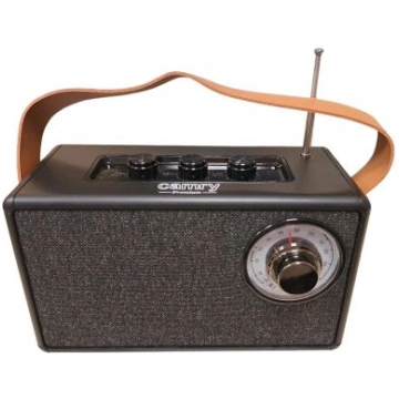 Lietots - Camry Cr1902 (P794018)