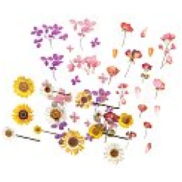 Uzlīmes caurspīdīgas "Flowers", PVC, loksnes izmēr