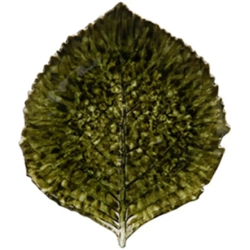 Costa Nova - Bladfad Hydrangea L - izmērs 21.8X 19