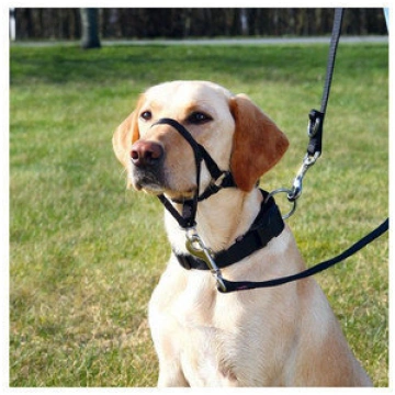 Uzpurnis Trixie Top Trainer, M, 27 cm