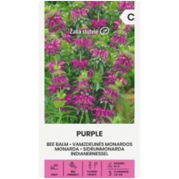 MONARDA PURPLE ŽALIA STOTELĖ