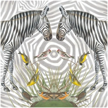 Museums amp; Galleries Karnet kwadrat Zebra z kope