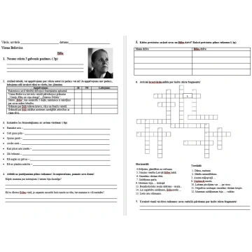 V. Belševica Bille 5.klase - darbs ar tekstu no gr
