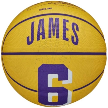 NBA spēlētāja ikona Stephen Curry Mini bumbiņa WZ4