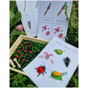 Sensoro Rotaļu Komplekts LadyBug Life Cycle OuwaKi