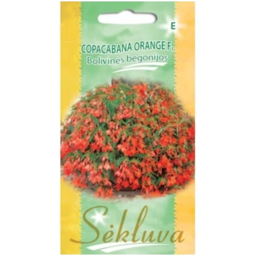 Begonijas nokar.Copacabana Orange F1 10s