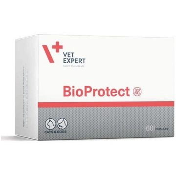 VetExpert BioProtect probiotikas kapsulas suņiem u