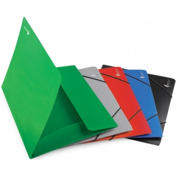 Folder with rubbers Forpus Premier, A4, plastic, c