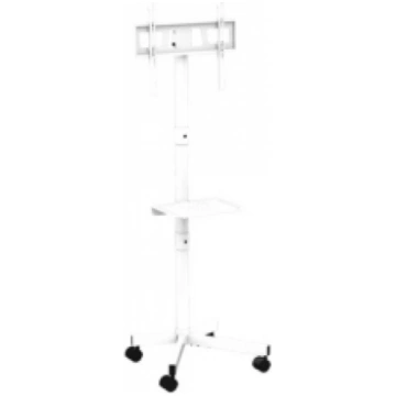GEMBIRD TV stiprinājums 32" - 55" TV floor stand w