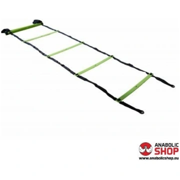 Power System Agility Speed Ladder