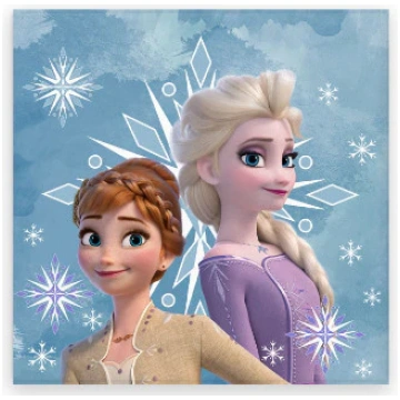 Disney Frozen sniegpārsliņu dvielis rokām, sejai, 