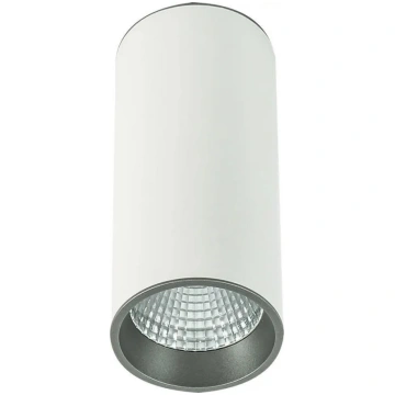 Griestu lampa Italux Moldes Big WH/GR 12W 3000K — 
