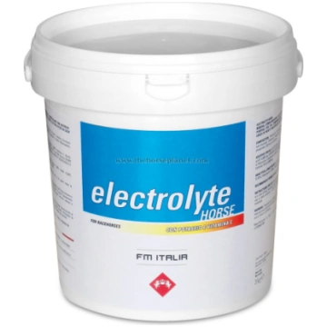 ELECTROLYTE HORSE FM ITALIA GR 3000