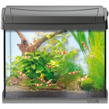 TETRA AquaArt Aquarium LED (melnājs) akvārijs 20 l