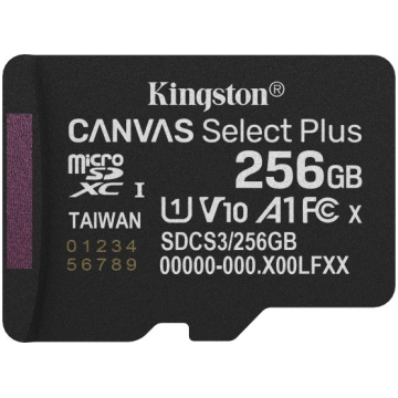Kingston Technology Canvas Select Plus Gen3 256 GB