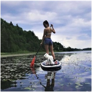 Lietots - WILD SUP dēļa noma Jūrmalā braucienam pa