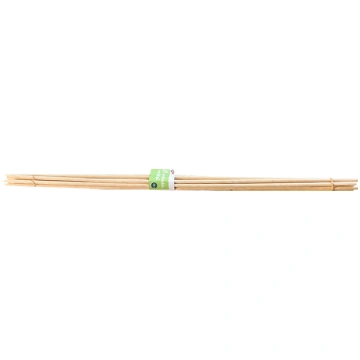 Mietini bambusa 70cm 10gb 9087626 (4750959087626) 