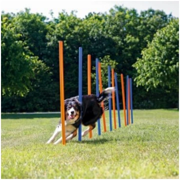 Trixie HANDLE SHARES 12 Pcs.1.15M 3 ( TX 3206 )