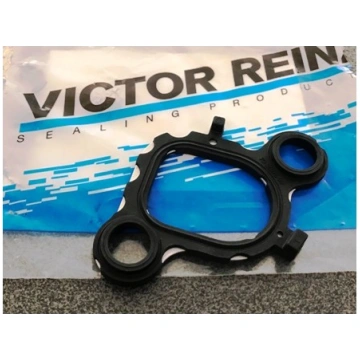 Ieplūdes kolektora blīve VICTOR REINZ 71-36076-00,