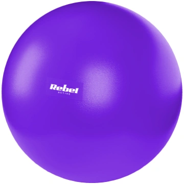 Mini pilates ball for rehabilitation 25cm with han
