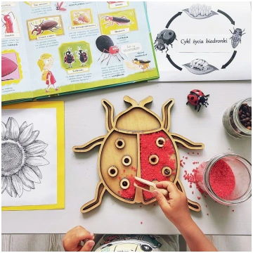 Sensorā Kaste Ladybug OuwaKids OWK-1640