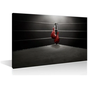 Boksa cimdi karājas audekls Picture Wall Art 1 pan