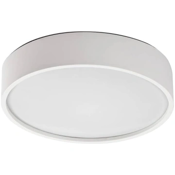 rabalux Larcia 75012 LED vannas istabas gaisma Gri