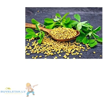 Sēklas sierāboliņš 25g 21670