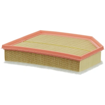 MANN-FILTER Gaisa filtrs C 29 021
