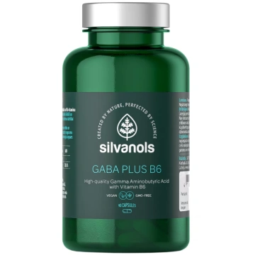 SILVANOLS Gaba Plus B6 kapsulas, 90 gab