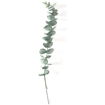 ArtFlow Mākslīgais Eikalipts 45cm, zaļš (475095911