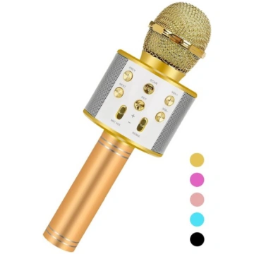 Rotaļlietu dāvanas meitenēm, Karaoke mikrofons bēr