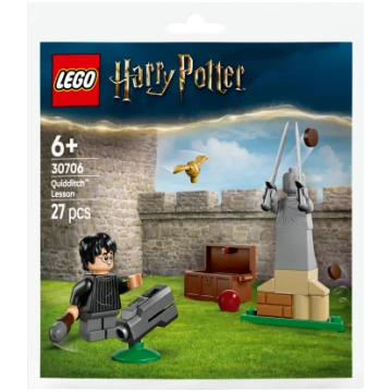 LEGO Harry Potter komplekts 30706 Cūkkārpas Kvidit