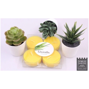Baltic Candles Maxi Tealights 4pcs with citronella