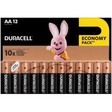 Baterija DURACELL Basic AA LR6 12 gab./iepak. (250
